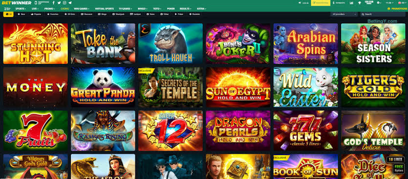 Explore the BetWinner Gambling Platform A Comprehensive Guide